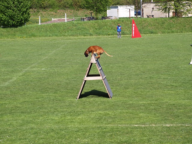 www.atibox.net * www.euroboxer.eu * www.boxergenealogia.eu